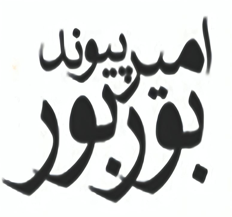 گروه ساختمانی امیر پیوند بوربور
